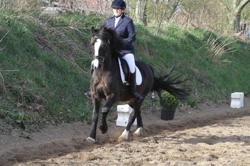 Bild 1520 - WBO-Turnier am 9.4.11